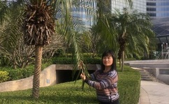 歪歪漫画韩漫入口